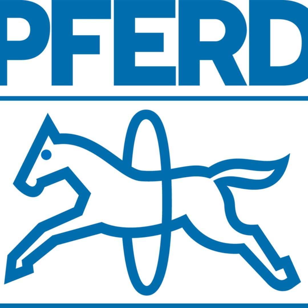 logo PFERD BAP Tools Indonesia